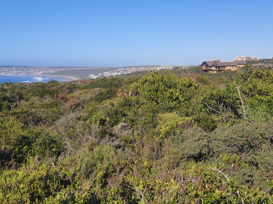 0 Bedroom Property for Sale in Boggomsbaai Western Cape